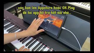 Cáp Kết Nối Đàn Piano, Organ Với Ipad, Iphone Cổng Midi USB OTG Type B screenshot 3