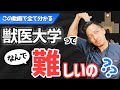 獣医大学の難易度、なぜ難しいのか、どの大学が入りやすいかを徹底解説！