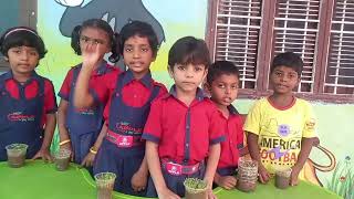 SEED GERMINATION  ACTIVITY DONE BY APPLE PLAY SCHOOL STUDENTS.