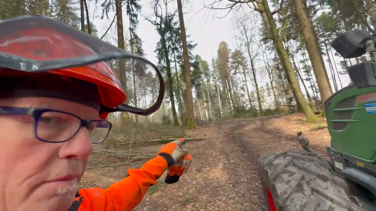 Fichte 5m Trämel stappeln