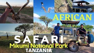 Mikumi national park| Giraffe the national animal of Tanzania| Africa Vlog 2021|