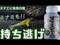 【餌】ミナミヌマエビも持ち逃げするほどの美味しさ！イトスイ ヌマエビの主食【ふぶきテトラ】