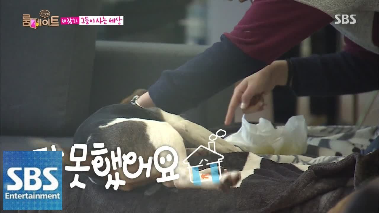 영지, 오이에 ‘