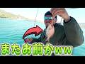 vol362 つ抜けしたのに全部チャリコwwラスト流しのビッグワンはなんと…！？Caught 10 Sea Bream… All Tiny #タイラバ#ノッコミ真鯛#広島釣り夫婦#船釣り