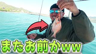 vol362 つ抜けしたのに全部チャリコwwラスト流しのビッグワンはなんと…！？Caught 10 Sea Bream… All Tiny #タイラバ#ノッコミ真鯛#広島釣り夫婦#船釣り