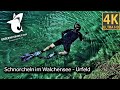Schnorcheln im Walchensee - Urfeld