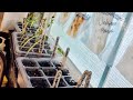 Grow some tings with us