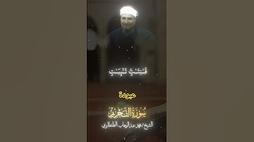 #الشيخ_محمد_عبدالوهاب_الطنطاوى #قران_كريم #سورة_التحريم #قرآن #اكسبلور #قراء_مصر #تلاوة_خاشعة #تلاوة