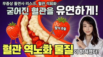 항산화제 피세틴, 노화 좀비세포 없애는 줄로만 알았는데.. ‘혈관 역노화’까지? (2025 최신 연구, 40대 이상 체크 필수!)