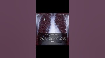 سورة طه من الآية 25 الي الآية 28