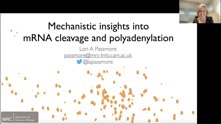 Lori Passmore: "Mechanistic insight into mRNA clea...