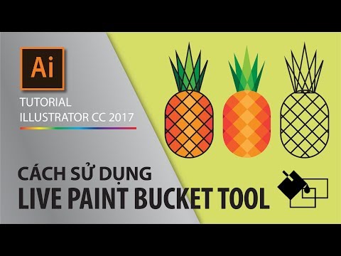 Video: Làm cách nào để mở khóa công cụ Paint Bucket trong Adobe animate?