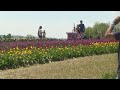Residents enjoy final day of flowery festival | 28/22 News