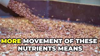 Supercharge Your Crops with Fulltec K: Enhance Grain Filling & Disease Resistance!