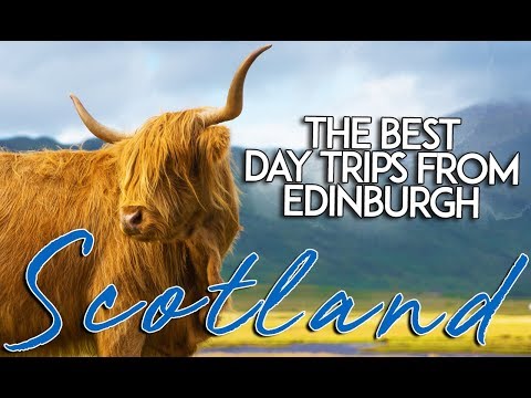 Wideo: 14 najlepiej ocenianych jednodniowych wycieczek z Edynburga
