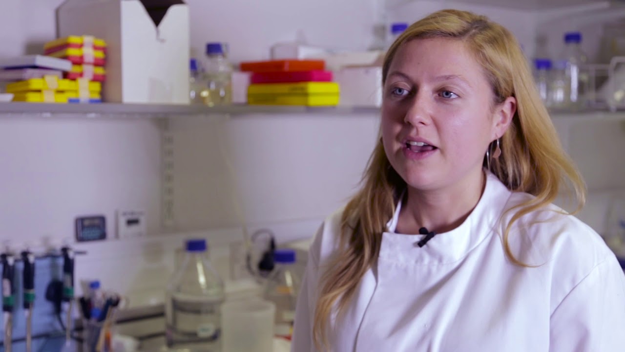 QMUL Science Alive: Immunohistochemistry