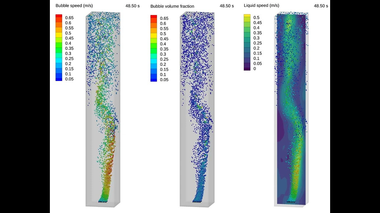 CFD Simulation of bubbles flowing in liquid column