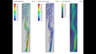CFD Simulation of bubbles flowing in liquid column