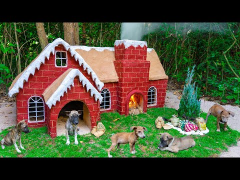 build-clay-soil-dog-house-for-my-puppies-to-celebrate-christmas
