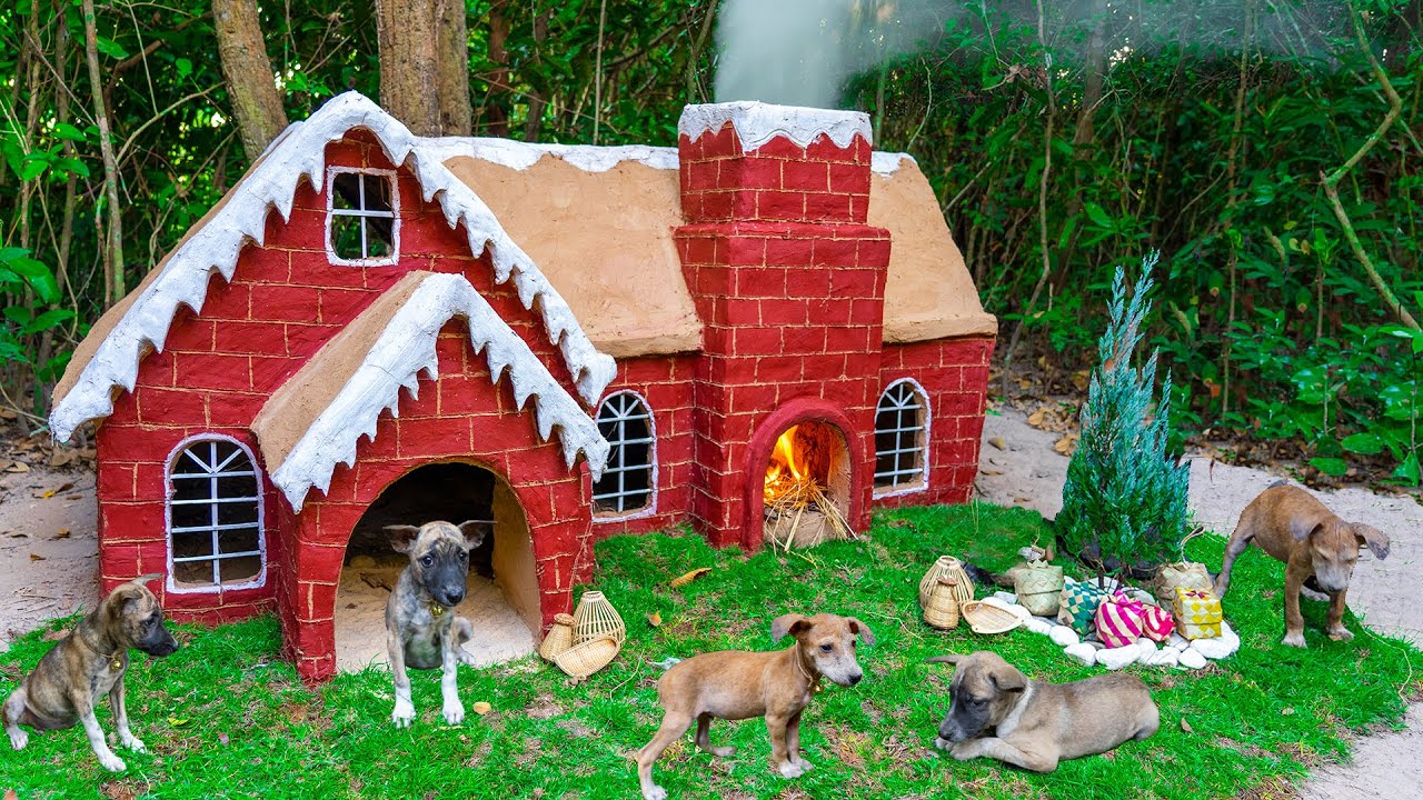 dog house for puppies