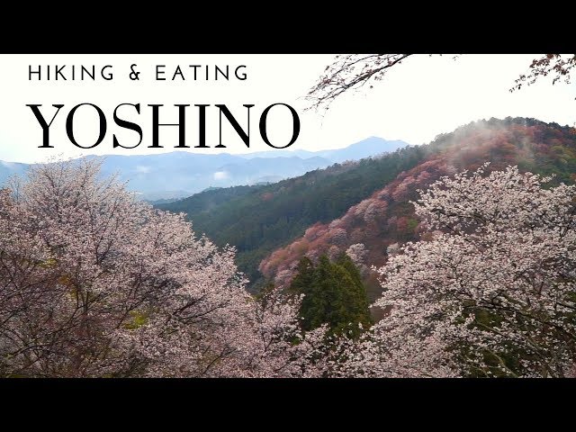 JAPAN TRAVEL: MT YOSHINO! Day 13 class=