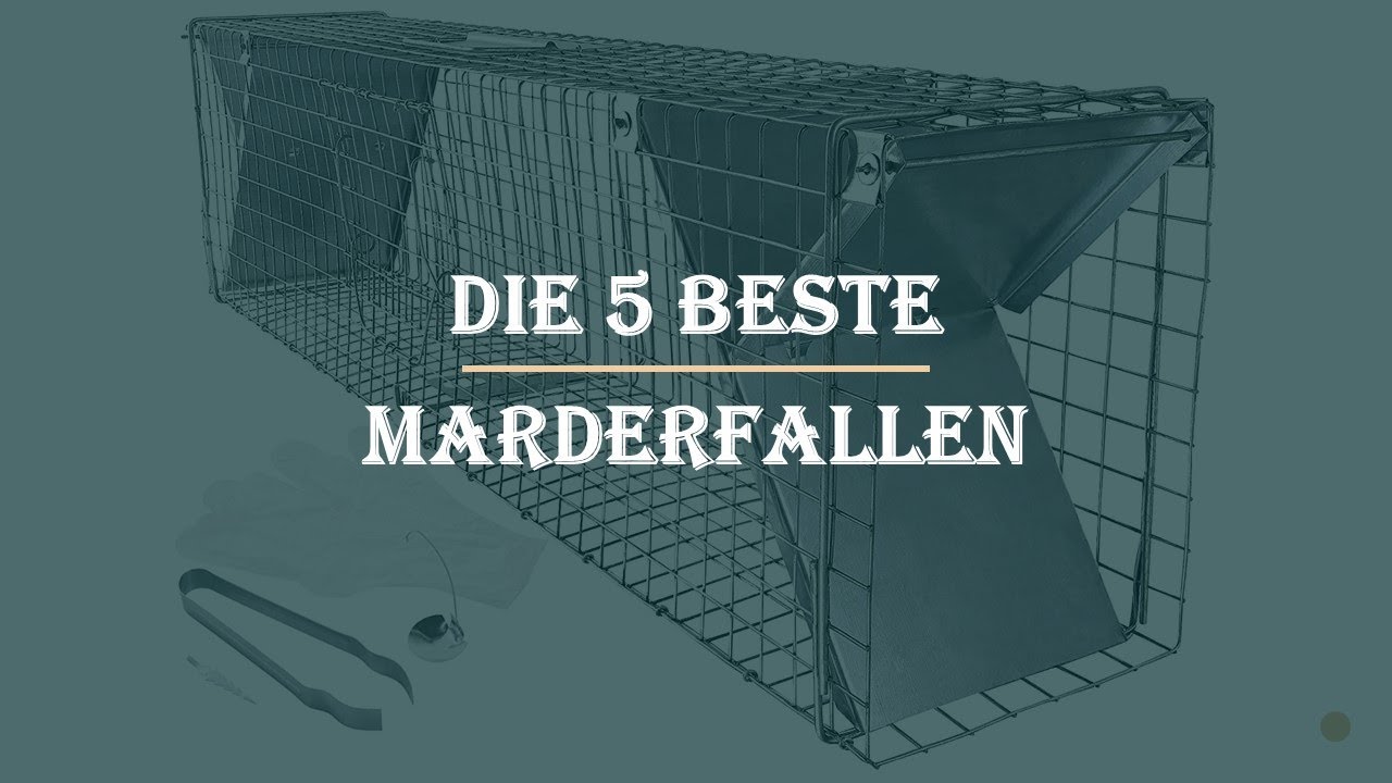 Die 5 Beste Marderfallen im Test 