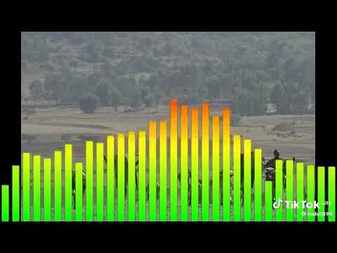 የኔነሽ ታደሰ Yenenesh Tadese ዳማይ ዳማይ ሆዴ ና ሽታዬ ገላ Ethiopian Traditional Music Amtohara