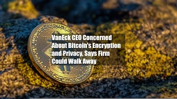 VanEck CEO Concerned About Bitcoin