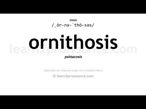 Произношение Орнитоз | Определение Ornithosis