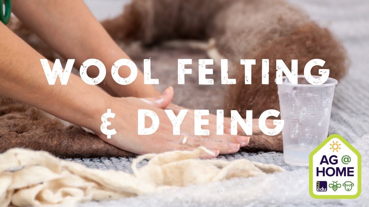 Wool Felting & Dyeing | Ag @ Home