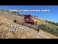 Trebbiatura grano duro con LAVERDA ALQUATTRO nelle larghe collinesi - 2022
