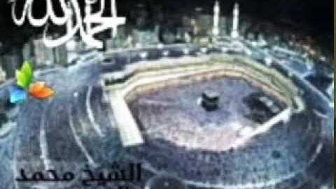 سورة الممتحنة،، الشيخ محمد المحيسني