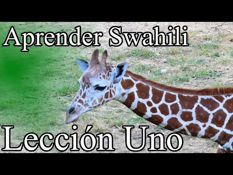 Vídeo: Cómo Decir Hola En Swahili Y Otras Palabras Y Frases Para Aprender