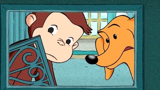 Curious George 🐵Cat Mother 🐵 Kids Cartoon 🐵 Kids Movies | Cartoons for Kids