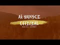 Nangbu Nungsirubagi || Audio Official Realease|| Pambei Movie Song Mp3 Song