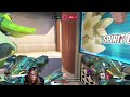 OVERWATCH (gm)