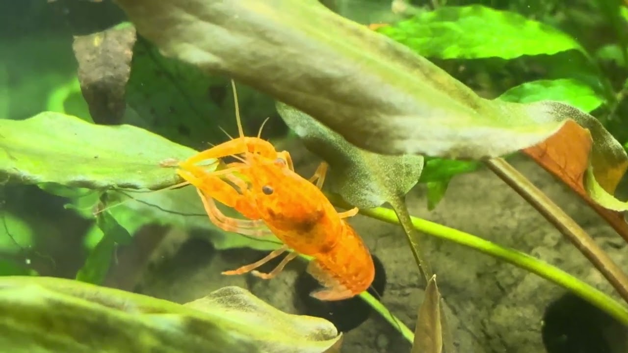 Schulaqua. to go - kleines Update