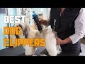 Best Dog Clippers in 2020 - Top 5 Dog Clipper Picks