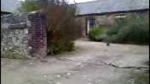 1:18 rc18t rc buggy from r2hobbies doing a triple front flip