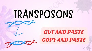 Transposons and its Types  Explained | DNA Transposons | Retrotransposons