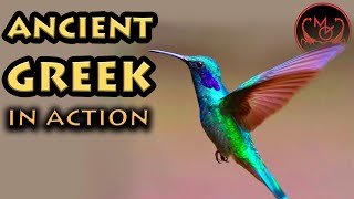 OLD SERIES | Ancient Greek: Neuter Nouns of the 2nd Declension | Ancient Greek in Action! ep.3