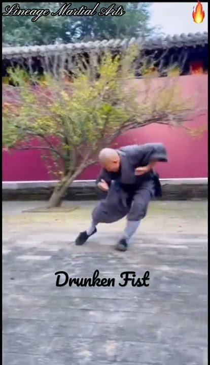 Drunken Fist #shorts #martialarts #kungfu