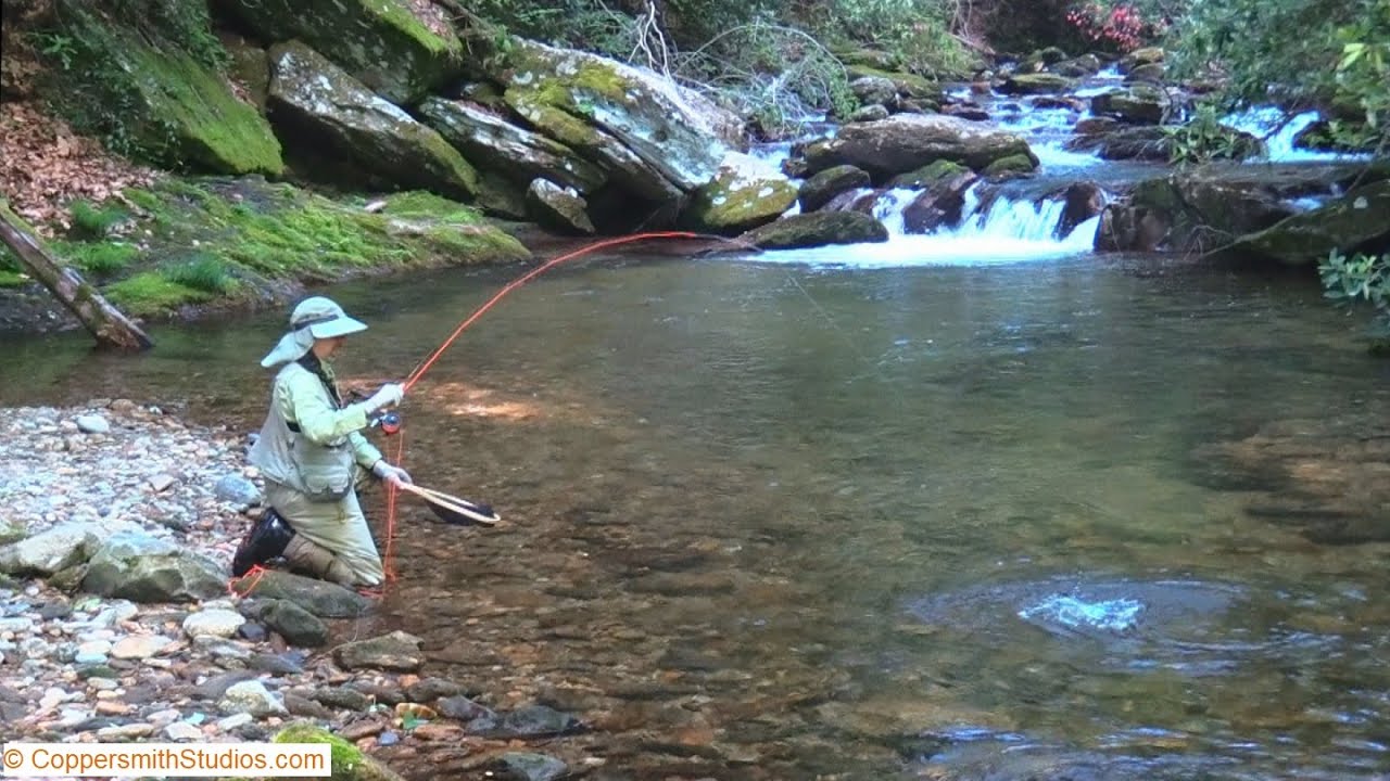 Fly fishing the Middle Prong Pigeon River, North Carolina YouTube