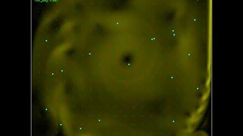 Lid-driven cavity flow with Sailfish