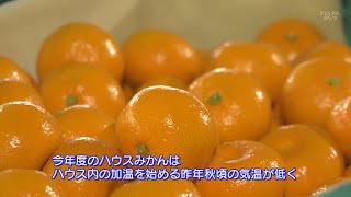 唐津市ニュース（令和3年4月26日～4月30日放送）