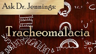 Tracheomalacia Malformations & Repairs Explained | Ask Dr. Jennings #3