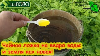 видео: ПРОЛЕЙТЕ ЗЕМЛЮ ДЛЯ ОБИЛЬНОГО УРОЖАЯ, ДАЖЕ ЕСЛИ НИЧЕГО НЕТ ПОД РУКАМИ. После этого земля как новая! картинка: ПРОЛЕЙТЕ ЗЕМЛЮ ДЛЯ ОБИЛЬНОГО УРОЖАЯ, ДАЖЕ ЕСЛИ НИЧЕГО НЕТ ПОД РУКАМИ. После этого земля как новая!