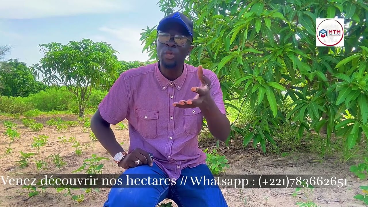 Pourquoi pas investir au Sénégal sur les hectares ? 