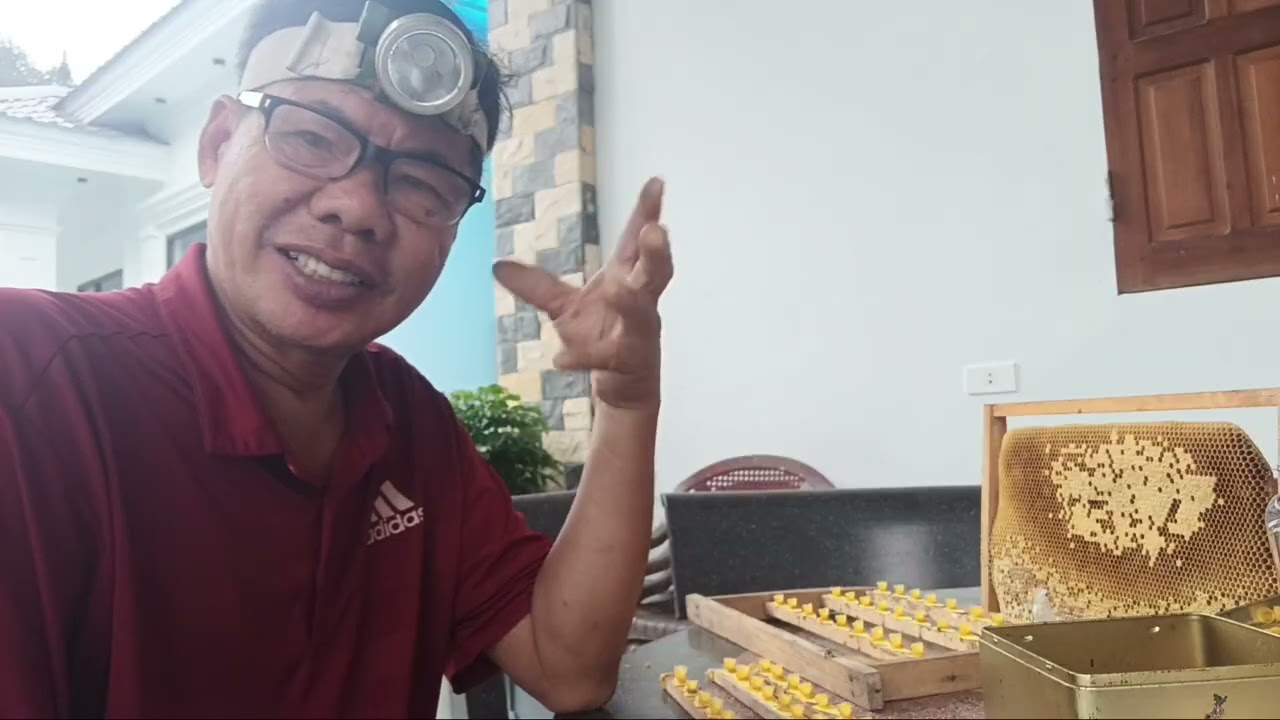 CHIA SẺ MUỐN LÀM MŨ CHÚA TO DÀI CẦN THƯA THOÁNG ,KO THAM NHIỀU ,CÁC BƯỚC TIẾN HÀNH ĐÚNG KỸ THUẬT.