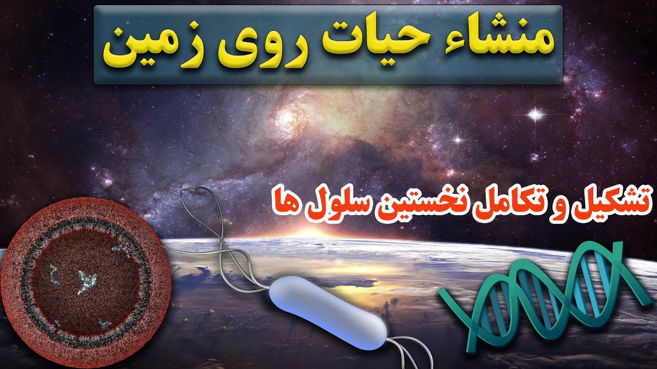 نحوه تشکیل سلول های زنده از اجزای غیر زنده؟  | پیدایش و تکامل اولین سلول ها